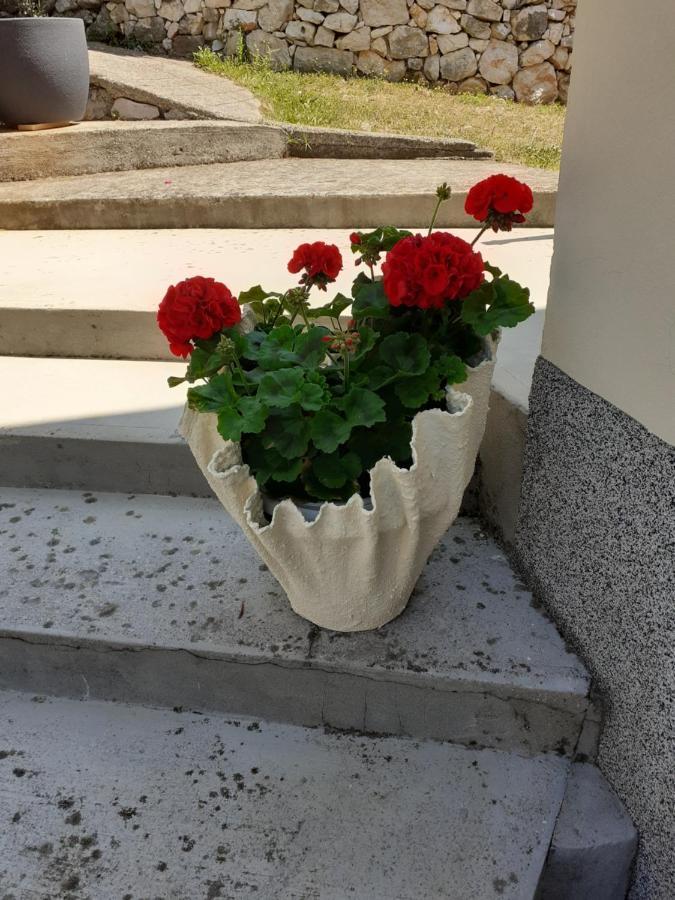 Apartman Danijela Zagorje 外观 照片