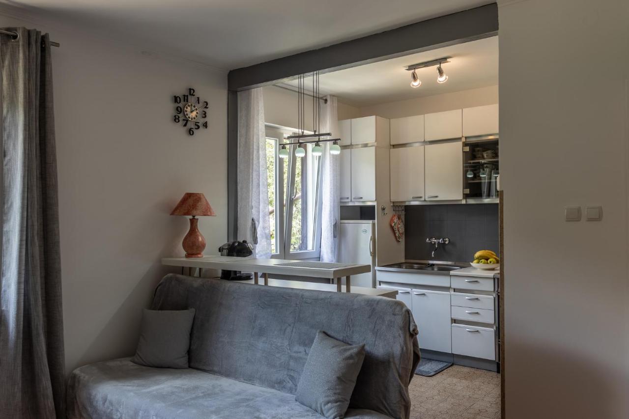 Apartman Danijela Zagorje 外观 照片