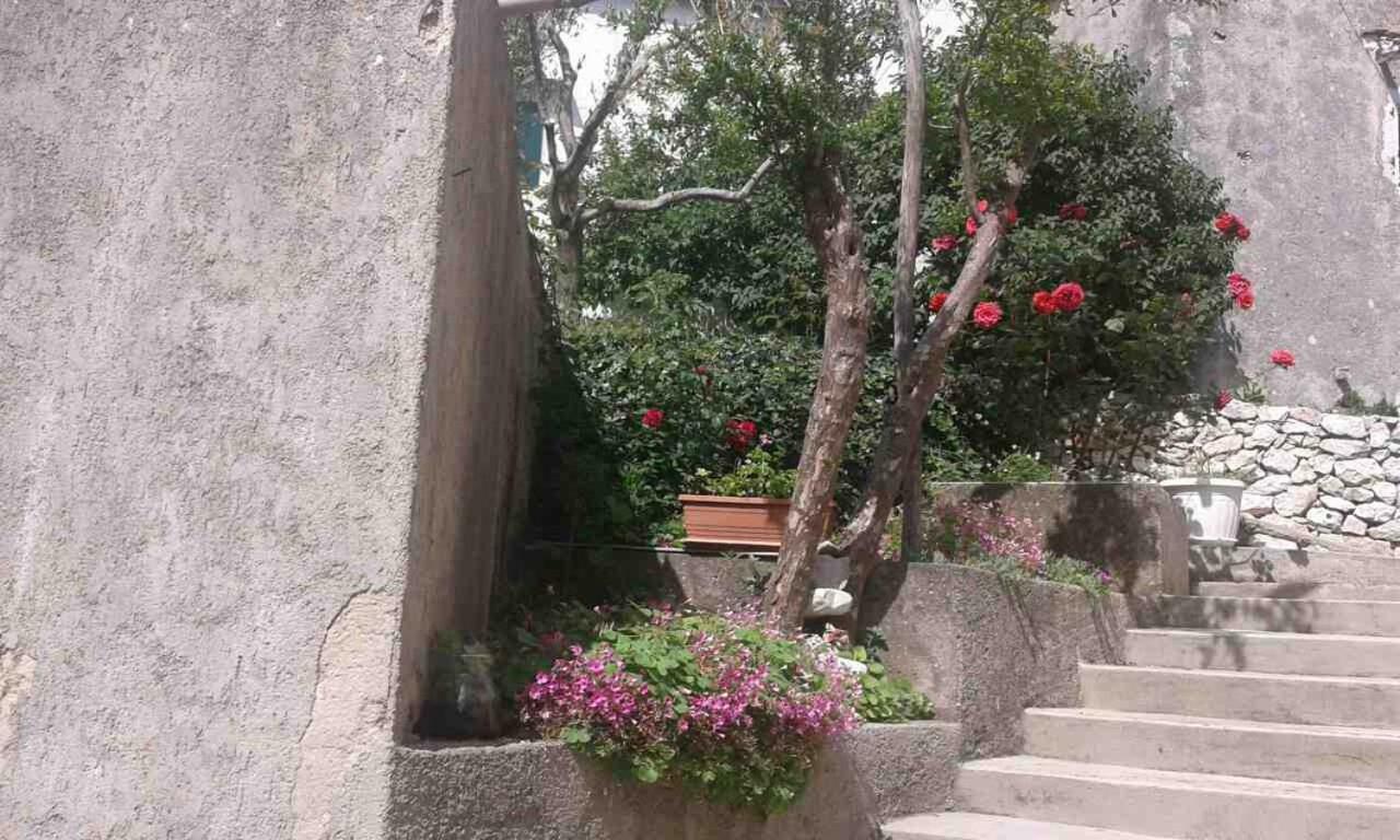 Apartman Danijela Zagorje 外观 照片